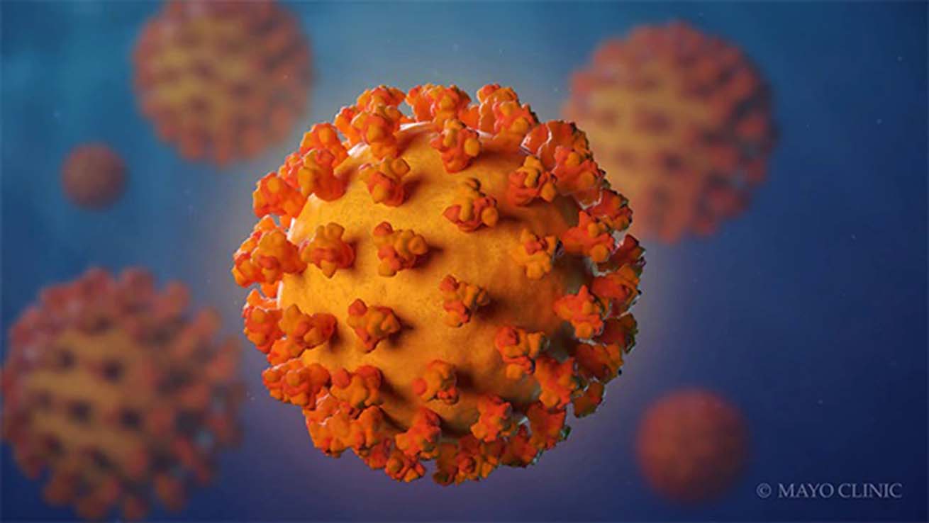 Adaptación a la crisis del coronavirus