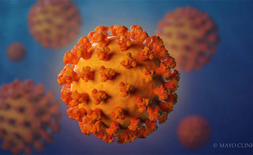 Adaptación a la crisis del coronavirus